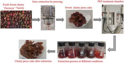 Optimizing the solvent extraction process for high-value compounds from sweet cherry press cake treated with pulsed electric fields using response surface methodology